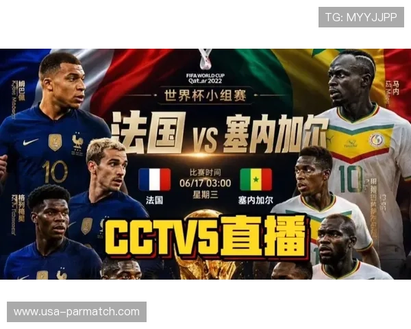 世界杯法国VS塞内加尔比赛现场观赛体验,精彩瞬间与赛后分析一网打尽 世界杯法国VS塞内加尔比赛现场观赛体验,精彩瞬间与赛后分析一网打尽