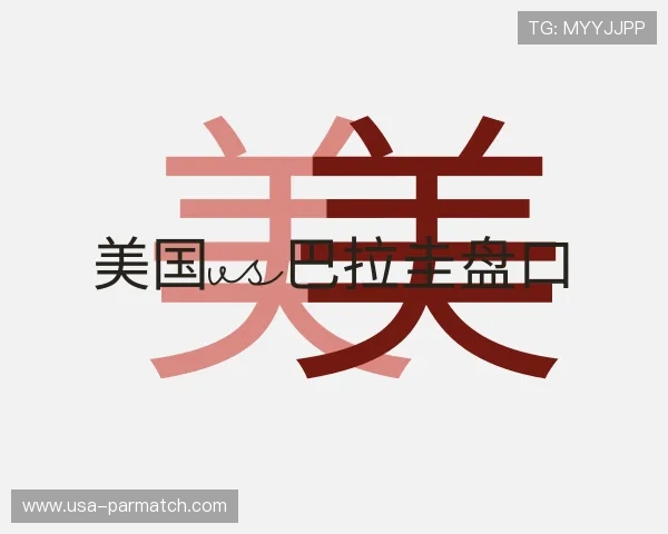 介绍美国vs巴拉圭盘口